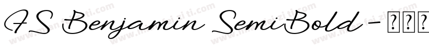 FS Benjamin SemiBold字体转换